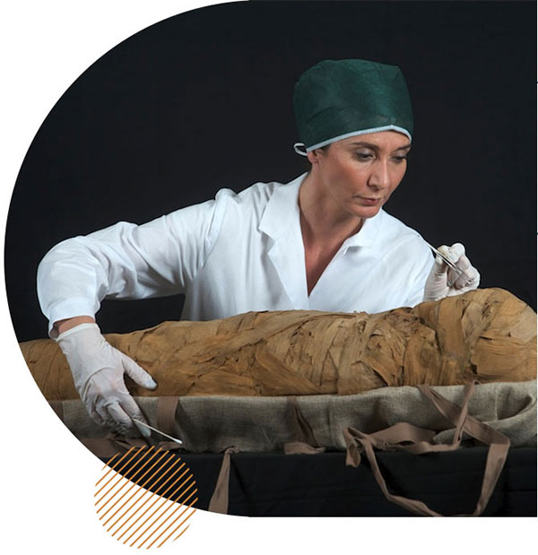 Insegnamento e formazione